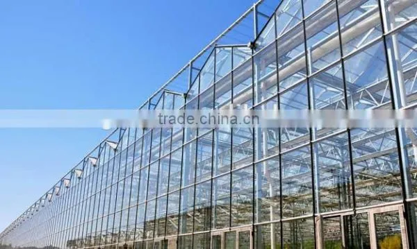 Hydroponic Growing Greenhouse photo-2