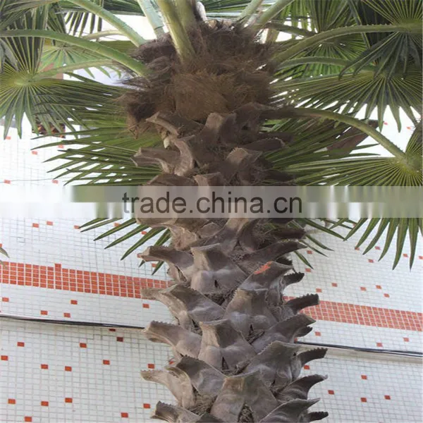 SJ2017200009 Hot Sale Outdoor Decorative Fake Washington Plastic Date Palm Tree photo-2