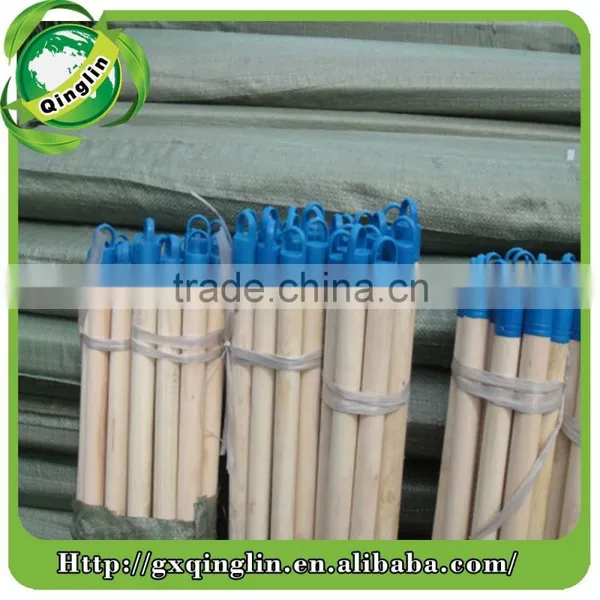 Eucalyptus Natural Wood Logs Wooden Stic photo-3