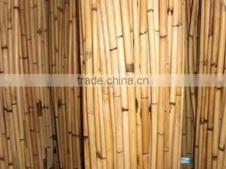 Rattan Kerai Cane photo-2