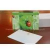 3D Lenticular Card in Depth