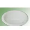 THW-41 Biodegradable Bowl