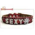 Leather Diy Dog Collar With 18mm Slide Letter Charm / Alaskan Malamute Collar