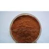 Grape Seed Extract 95%