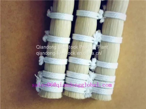 White Horse Tail Hair