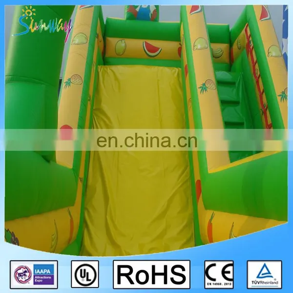 Inflatable Jumping Bouncer Slide / Jumping Castles Inflatable Water Slides Made In China photo-5