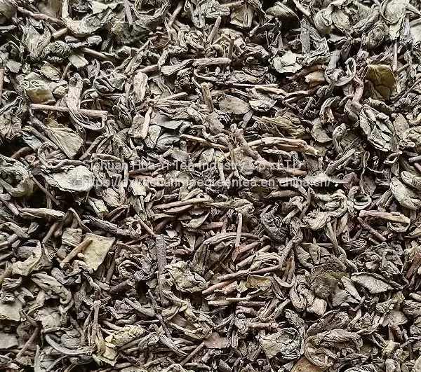 China Extract Gunpowder Green Tea 3505 9475 9675 9374 for Morocco photo-3