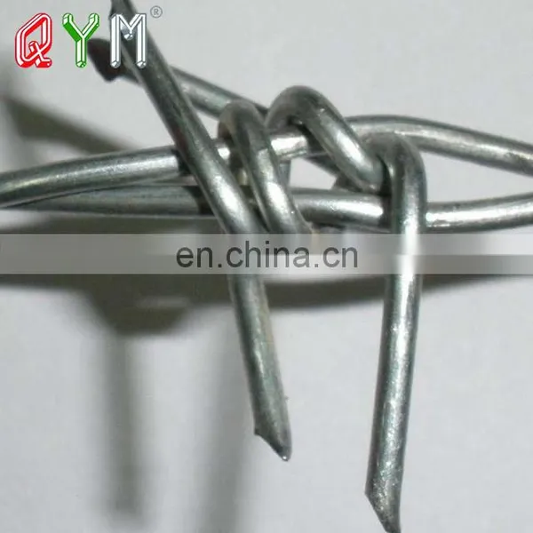Razor Wire Fence Price Meter Barbed Wire In Egypt photo-5