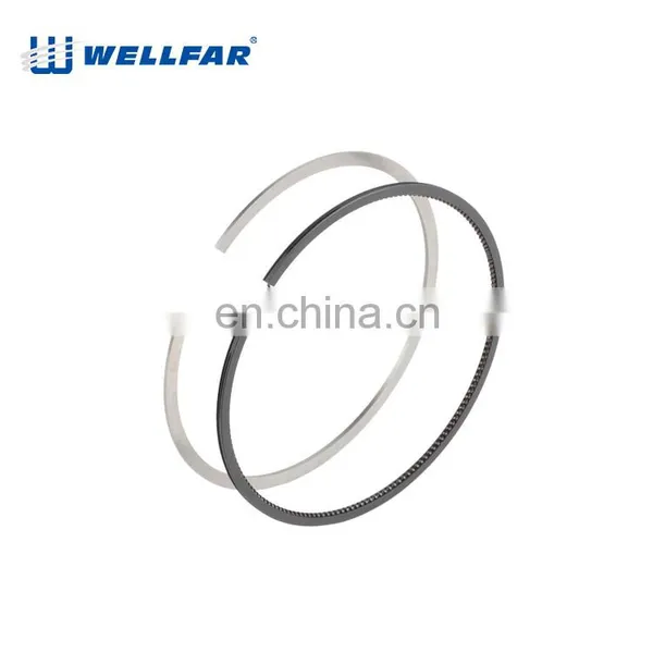 Wellfar CBX250 Engine Parts 73mm Engine Piston Rings For CBX250 Honda Engine photo-3