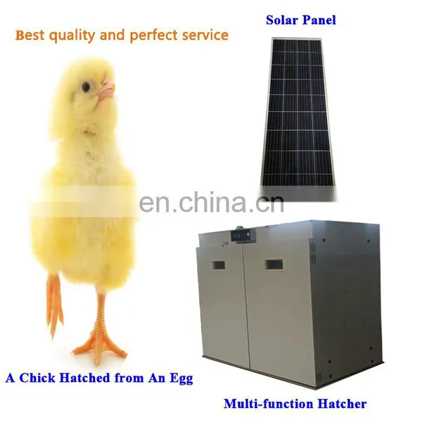 Chicken Egg Incubator Industrial Poultry Egg Incubators Automatic 5000 Hatching Eggs Hatchery Machine Price Wholesale photo-2