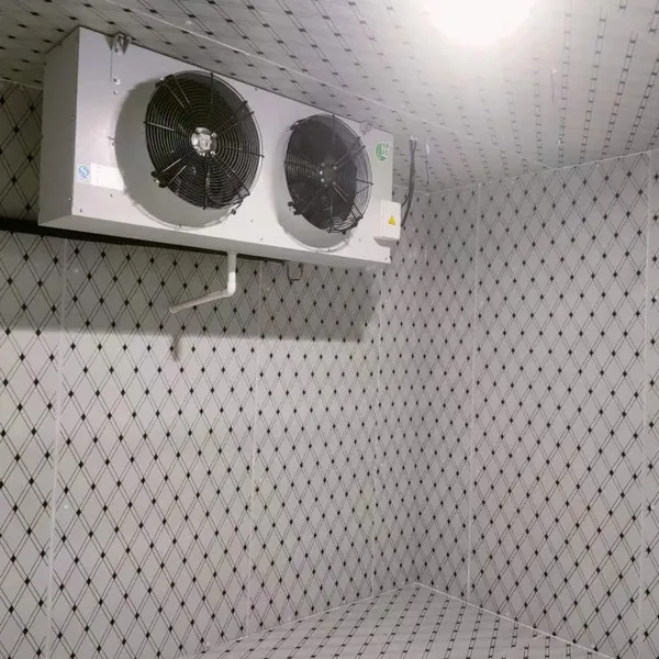 Rapid Freezing Room，Sub-zero Cold Storage，Small Vegetable Cold Room