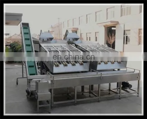 Industrial Sweet Corn Processing Line Include Threshing Blanching Washing Dewatering Air Drying Machine photo-5