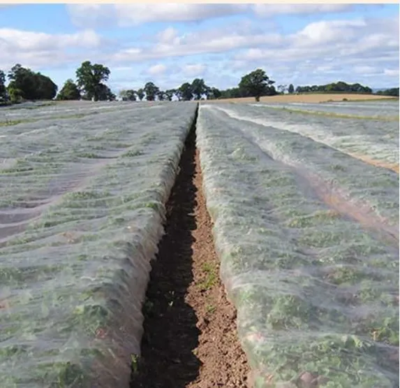 Factory Supply High Quality Cheap Price Anti Insect Net for Greenhouse Cover photo-4