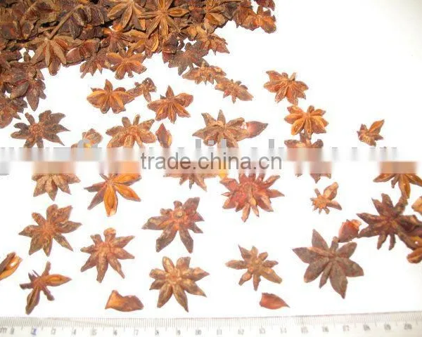 5-6 Dried Star Aniseed