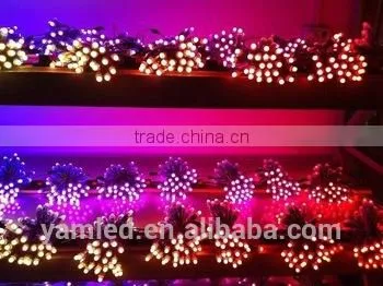 Best Selling 14w LED Pixel Lights Christmas Led Lights Hengda Led Light Ld-4625 photo-2