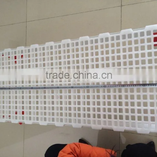 High Quality Poultry Flooring System for Chicken Farms, Plastic Slat for Poultry Farming Equipment (Professional Manufacturer) photo-5