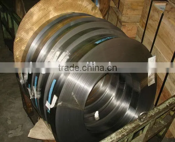 Galvanized Steel Strip photo-2