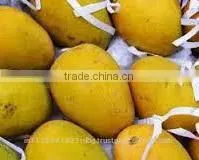 Fresh Mango Exporter In India photo-6