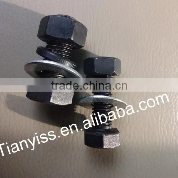 Custom ss Wheel Bolt for Sale