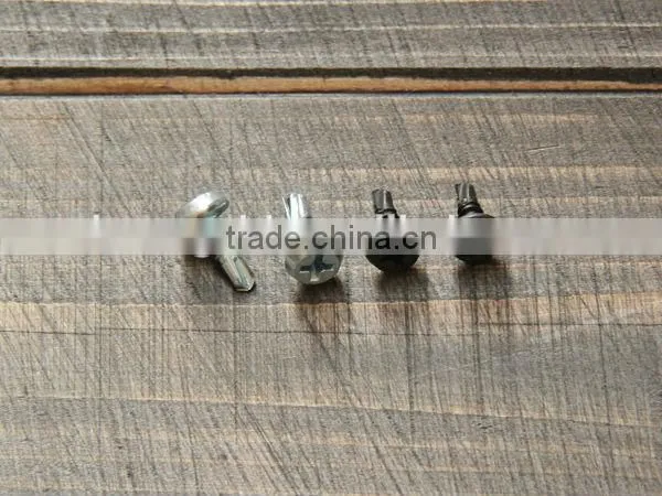 Pan Faming Head Self Drilling Screw photo-5