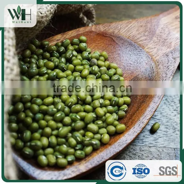 AMA Certified Green Mung Bean photo-4