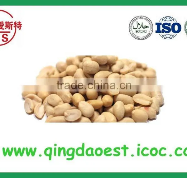 High Quality Blanched Peanut Kernel in Bulk in China photo-5