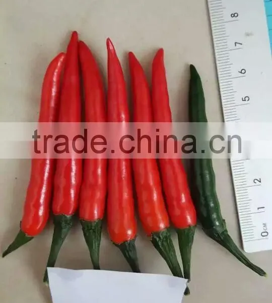 Hybrid F1 Red Hot Pepper Seeds Chili Seeds For Sale-Brightness Red 100 photo-2