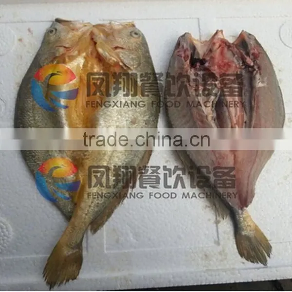 FGB-170 Industrial Fish Fillet Processing Machine,fish Slicing Machine,fish Cutting Machine CE Approved photo-3
