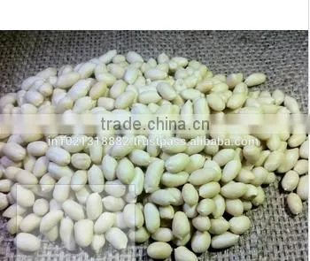 BLANCHED PEANUTS