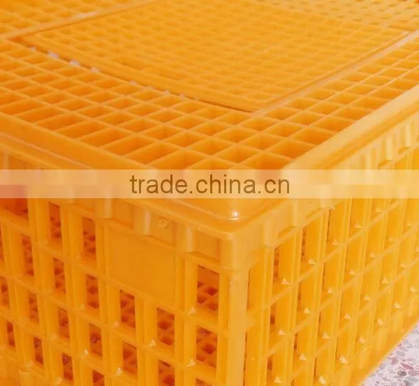 Plastic Animal Transport Box for Poultry Chickens photo-4