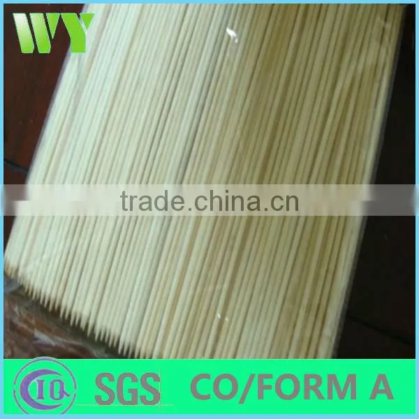 Fruit Bamboo Stick