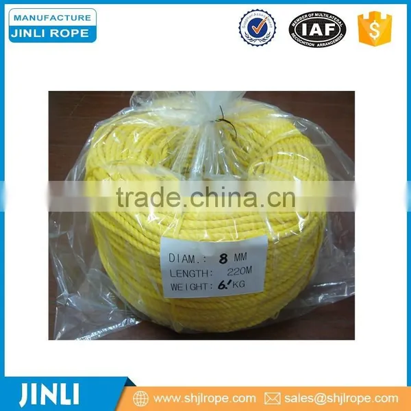 Professional Rigging Manufacturer Subang Brand pp Rope Buyer photo-5