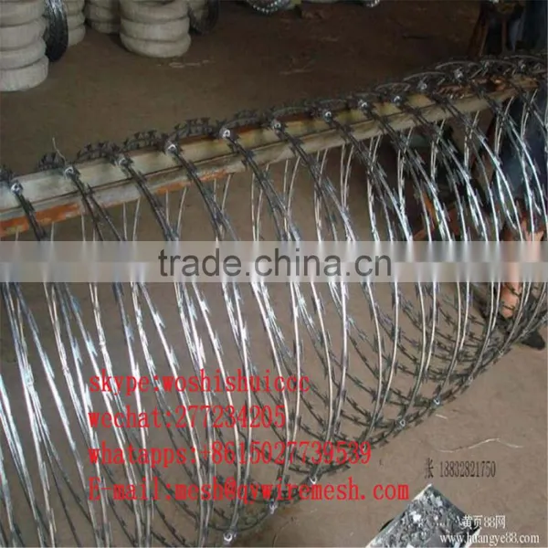 2017 High Quality Galvanized Welded Razor Wire Mesh/Blade Concertina Razor Barbed Wire Export photo-5