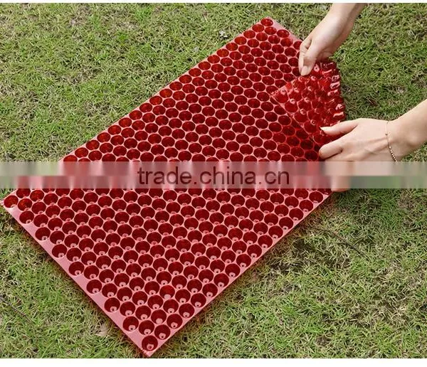 434cell Hydroponics Rice Breeding Tray, Barley Planting Tray, 55g photo-5