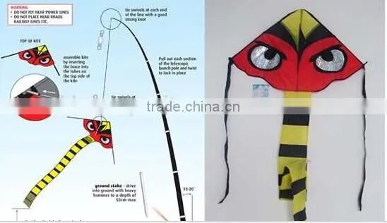Hawk Kite photo-2