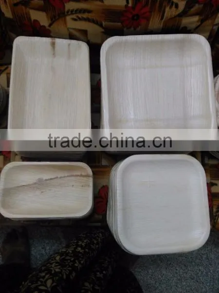 Leaf Plates/Bowls photo-2