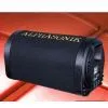 Car Subwoofer