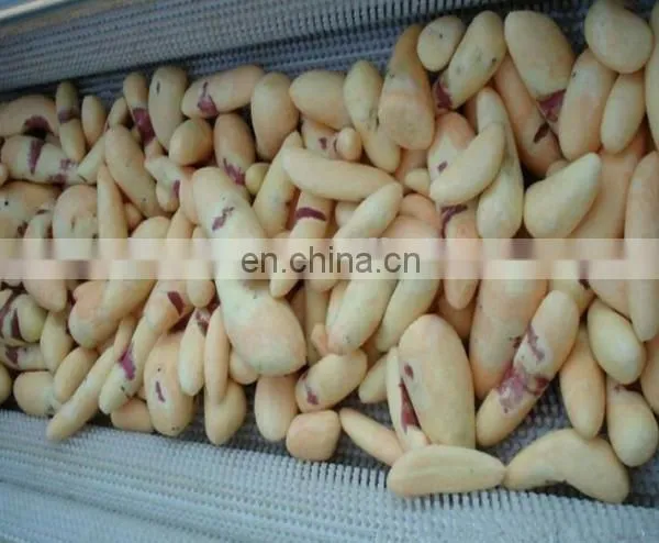 Automatic Vegetable Fruit Brush Cleaning Peeling Machine photo-4