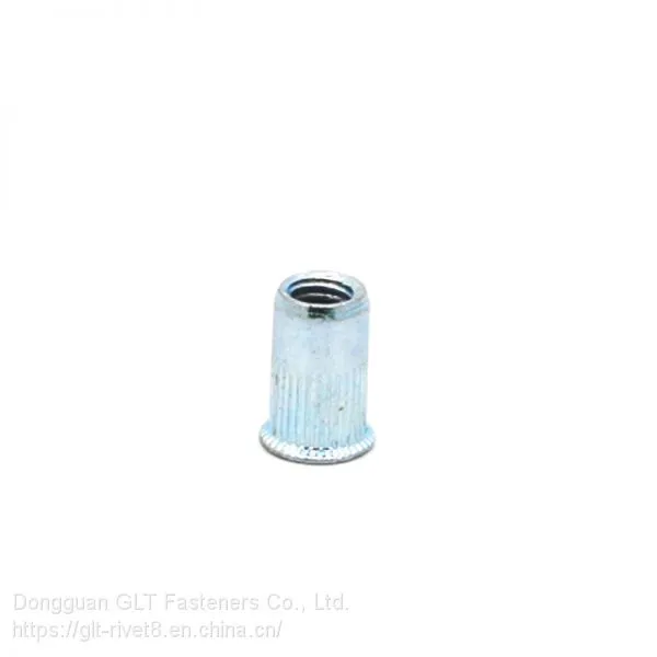 China Threaded Inserts Steel Blind Rivet Nut