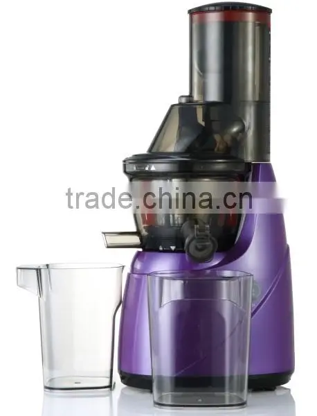 Factory Juicer Extractor Masticating SP-DJN-001 Juicer Slow Juicer Juice Extractor photo-3