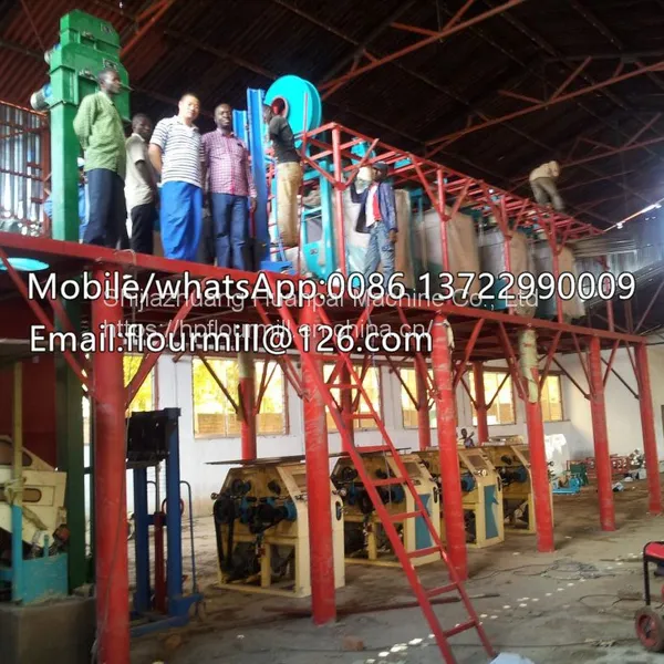 Automatic Conservation Energy 50T Maize Wheat Flour Milling Machine Corn Processing Line Grain Product Making Machine photo-4