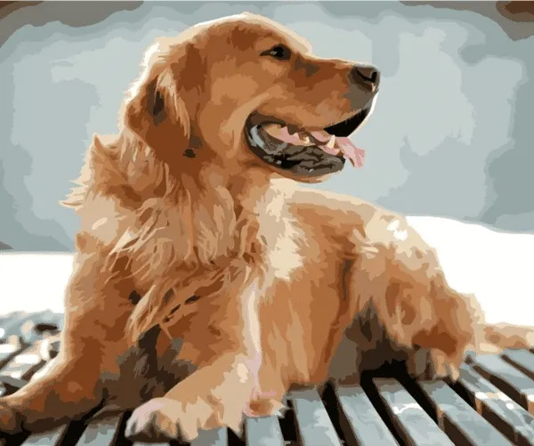 Pet Paint by numbers Custom Paint By Number