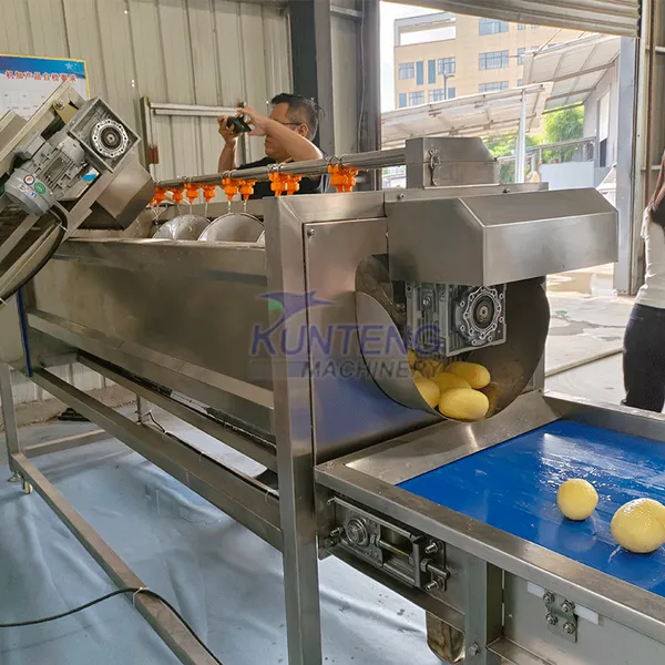Automatic Potato Chips Production Machine Commercial Potato Crisp Cutting Frying Packing Integrated Processing Machinery EPC photo-4