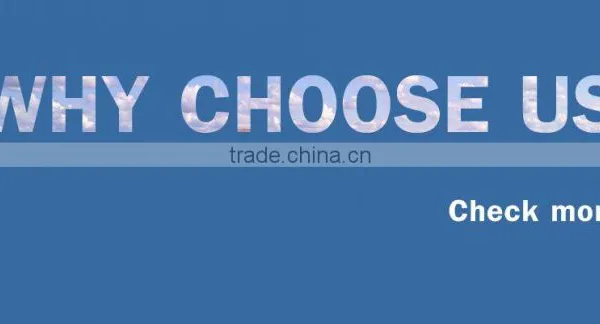 The Reason Choose Fansi Factory