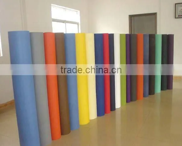 Polypropylene Webbing Polypropylene Roof