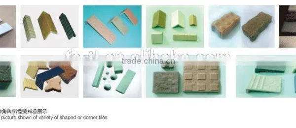 DRY POWDER FORMING MACHINE WITH PRESSING photo-4