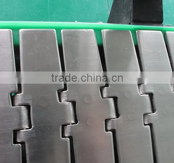 Multifunctional Stainless Steel Chains Conveyor photo-2