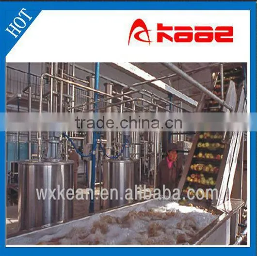 Automatic Fruit Washing Machine Manufactured in Wuxi Kaae With ISO and CE