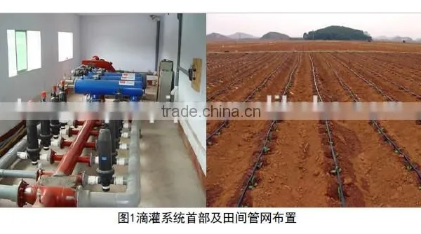 Agriculture Drip Irrigation System photo-2