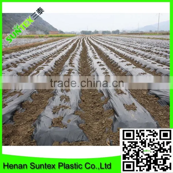 PE Plastic Black-Silver Plastic Mulch Film Punch Hole /agricultural Mulch Film/biodegradable Mulch Film photo-3